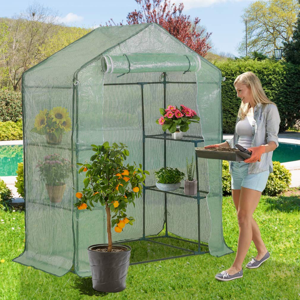Amazon.com : FDW Portable Mini Indoor/Outdoor Greenhouse 4.9' L x